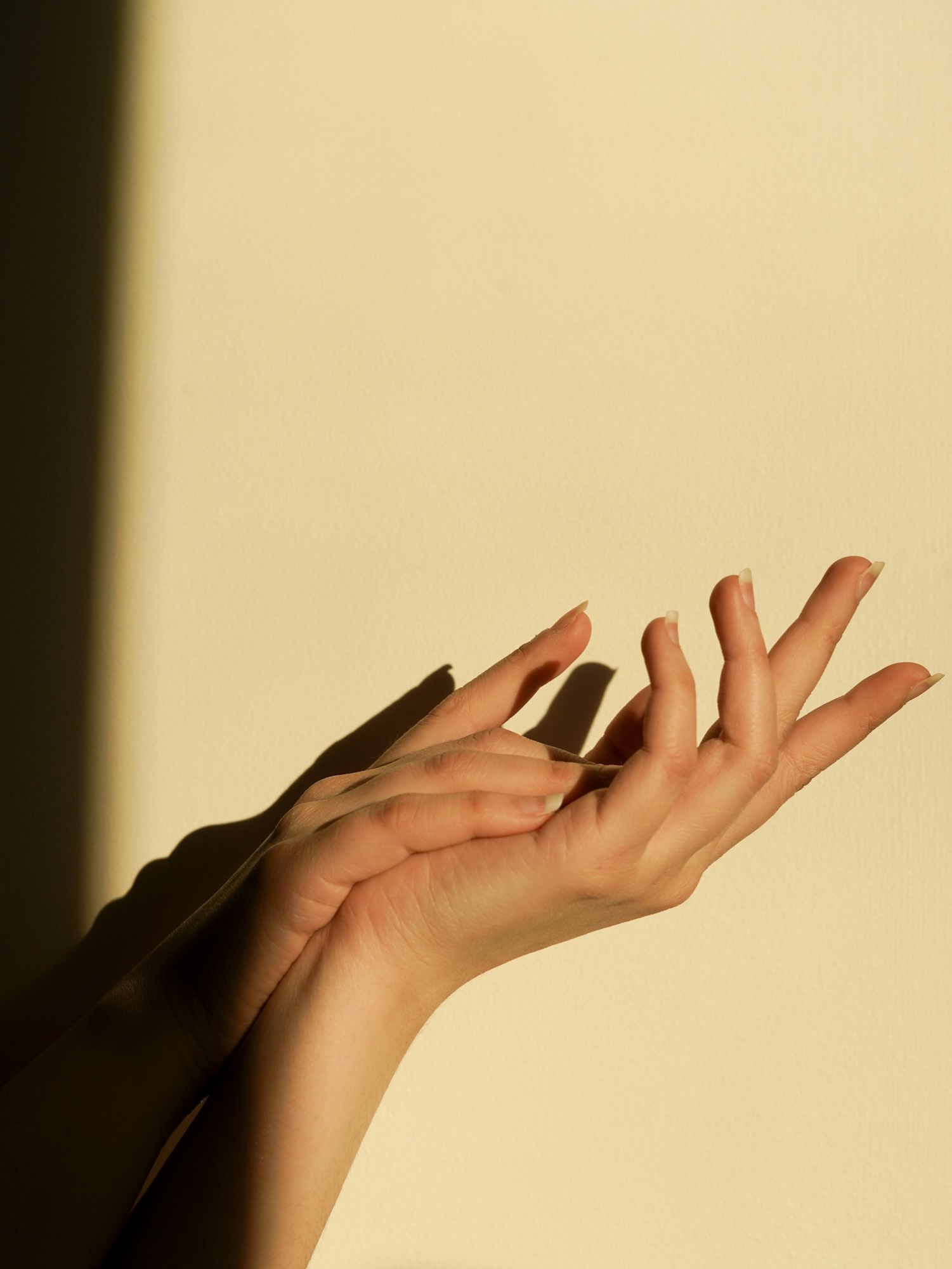Deux mains ouvertes dans une lumière chaude